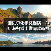 诺贝尔化学奖揭晓，80后海归博士做同款新材料：融资千万，打破巨头垄断（图3）