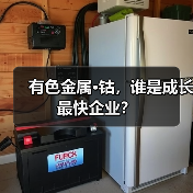 有色金属·钴，谁是成长最快企业？（图2）