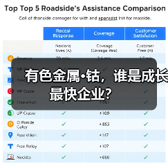 有色金属·钴，谁是成长最快企业？（图4）