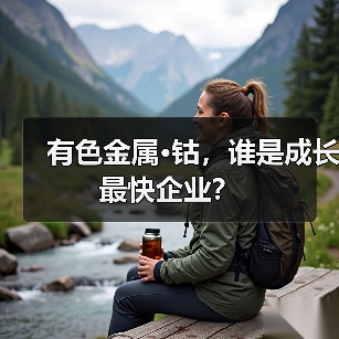 有色金属·钴，谁是成长最快企业？（图3）
