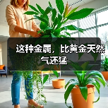 这种金属，比黄金天然气还猛（图3）