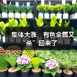 集体大涨，有色金属又“杀”回来了（图3）