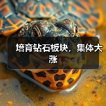 培育钻石板块，集体大涨（图1）