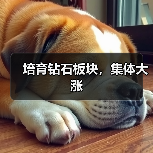 培育钻石板块，集体大涨（图2）