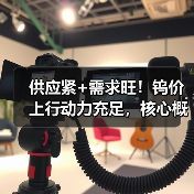 供应紧+需求旺！钨价上行动力充足，核心概念股年内股价已翻倍（图2）
