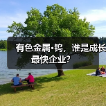 有色金属·钨，谁是成长最快企业？（图1）