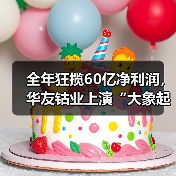 全年狂揽60亿净利润，华友钴业上演“大象起舞”（图2）