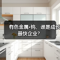 有色金属·钨，谁是成长最快企业？（图3）