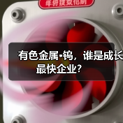 有色金属·钨，谁是成长最快企业？（图4）