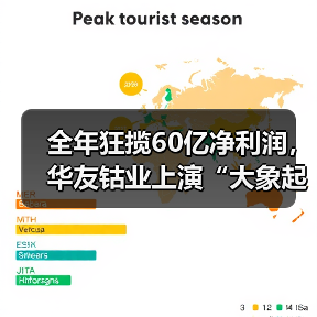 全年狂揽60亿净利润，华友钴业上演“大象起舞”（图4）