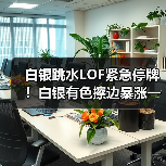 白银跳水LOF紧急停牌！白银有色擦边暴涨一个月（图4）