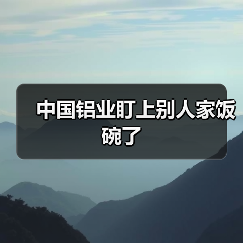 中国铝业盯上别人家饭碗了(图3) 中国铝业盯上别人家饭碗了(图3)