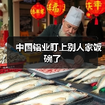 中国铝业盯上别人家饭碗了(图4) 中国铝业盯上别人家饭碗了(图4)