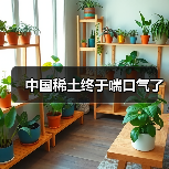 中国稀土终于喘口气了（图1）