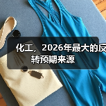 化工，2026年最大的反转预期来源（图4）