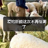 厦钨新能这次不再低调了(图4) 厦钨新能这次不再低调了(图4)
