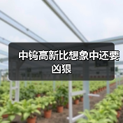 中钨高新比想象中还要凶狠(图1) 中钨高新比想象中还要凶狠(图1)