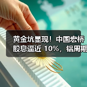 黄金坑显现！中国宏桥股息逼近 10%，铝周期景气度抬升（图1）