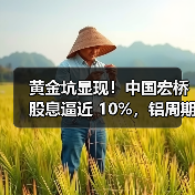 黄金坑显现！中国宏桥股息逼近 10%，铝周期景气度抬升（图2）