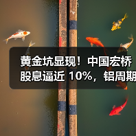 黄金坑显现！中国宏桥股息逼近 10%，铝周期景气度抬升（图3）