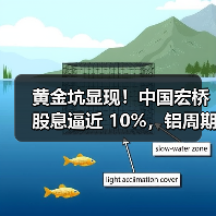 黄金坑显现！中国宏桥股息逼近 10%，铝周期景气度抬升（图4）