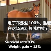 电子布涨超100%, 谁能在这场周期复苏中笑到最后？（图1）