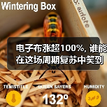 电子布涨超100%, 谁能在这场周期复苏中笑到最后？（图4）