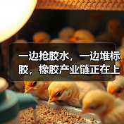 一边抢胶水,一边堆标胶,橡胶产业链正在上演“冰火两重天”(图1) 一边抢胶水,一边堆标胶,橡胶产业链正在上演“冰火两重天”(图1)