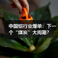 中国铝行业爆单:下一个“煤炭”大周期?(图1) 中国铝行业爆单:下一个“煤炭”大周期?(图1)