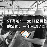 ST海龙:一家11亿营收的公司,一年只赚了潍坊一套房(图2) ST海龙:一家11亿营收的公司,一年只赚了潍坊一套房(图2)
