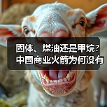 固体、煤油还是甲烷？中国商业火箭为何没有标准答案（图4）