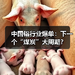 中国铝行业爆单:下一个“煤炭”大周期?(图2) 中国铝行业爆单:下一个“煤炭”大周期?(图2)