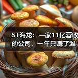 ST海龙:一家11亿营收的公司,一年只赚了潍坊一套房(图3) ST海龙:一家11亿营收的公司,一年只赚了潍坊一套房(图3)
