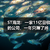 ST海龙:一家11亿营收的公司,一年只赚了潍坊一套房(图4) ST海龙:一家11亿营收的公司,一年只赚了潍坊一套房(图4)