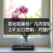 氧化铝暴涨!几内亚铝土矿出口管制,对国内铝产业链真实冲击有多大?(图3) 氧化铝暴涨!几内亚铝土矿出口管制,对国内铝产业链真实冲击有多大?(图3)