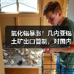 氧化铝暴涨!几内亚铝土矿出口管制,对国内铝产业链真实冲击有多大?(图4) 氧化铝暴涨!几内亚铝土矿出口管制,对国内铝产业链真实冲击有多大?(图4)