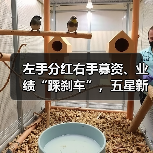 左手分红右手募资、业绩“踩刹车”,五星新材冲击IPO前路几何?(图2) 左手分红右手募资、业绩“踩刹车”,五星新材冲击IPO前路几何?(图2)