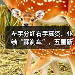 左手分红右手募资、业绩“踩刹车”,五星新材冲击IPO前路几何?(图1) 左手分红右手募资、业绩“踩刹车”,五星新材冲击IPO前路几何?(图1)