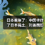 日本着急了：中国卡住了日本稀土，对美国却提高了95%（图3）