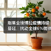 刚果金埃博拉疫情持续蔓延，扰动全球6%锡供应（图1）
