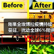 刚果金埃博拉疫情持续蔓延，扰动全球6%锡供应（图2）