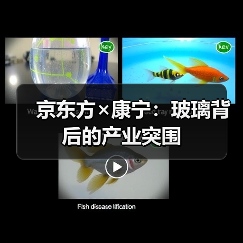 京东方×康宁：玻璃背后的产业突围（图2）