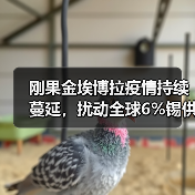 刚果金埃博拉疫情持续蔓延，扰动全球6%锡供应（图3）