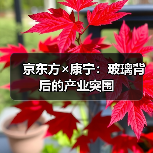 京东方×康宁：玻璃背后的产业突围（图3）