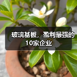 玻璃基板,盈利最强的10家企业(图2) 玻璃基板,盈利最强的10家企业(图2)