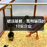 玻璃基板,盈利最强的10家企业(图3) 玻璃基板,盈利最强的10家企业(图3)