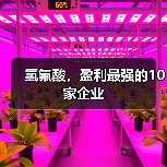 氢氟酸,盈利最强的10家企业(图1) 氢氟酸,盈利最强的10家企业(图1)
