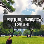 环氧树脂，盈利最强的10家企业（图2）