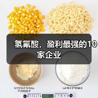 氢氟酸,盈利最强的10家企业(图3) 氢氟酸,盈利最强的10家企业(图3)