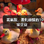 氢氟酸,盈利最强的10家企业(图4) 氢氟酸,盈利最强的10家企业(图4)